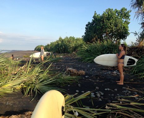 Fish Surfboards Wider and Thicker Than Shortboards Fish Surfboards Wider and Thicker Than Shortboards