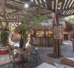 The Alchemist Organic Restaurant