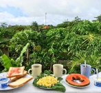Bali Bio Villas Breakfast