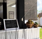 fresh coconuts at white palm surf bali