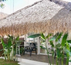 yogi bungalow white palm bali hotel bungalow surf accommodation balangan